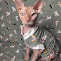 Polar Express  - Thumbnail 1