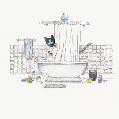 "cat in the shower" signed art print by robbie guertin