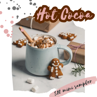 Hot cocoa rts mini sampler 