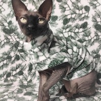 Pine! - Luxe Fleece - Thumbnail 1