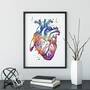 Anatomical Heart Art Print-1