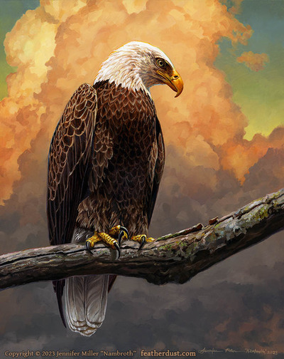 8x10 "Talons Crossed" Bald Eagle Print