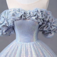 Blue Tulle Sequins Long A-Line Ball Gown - Thumbnail 1