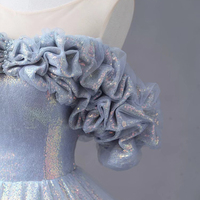 Blue Tulle Sequins Long A-Line Ball Gown - Thumbnail 2