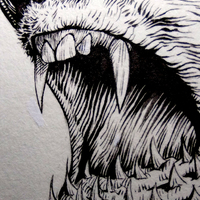 SHARKMA - Thumbnail 2