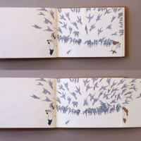 🔴SOLD OUT "BIRD BOOK" Original Picture Book by BB&PPINC - Thumbnail 2