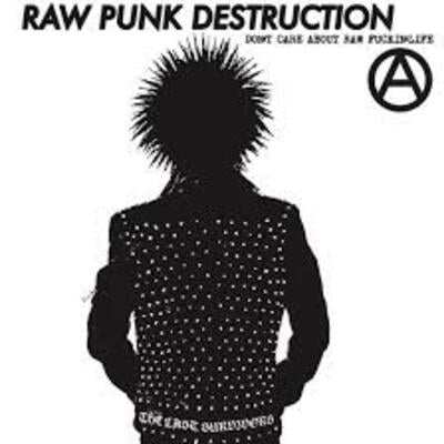 The last survivors-raw punk destruction 7”