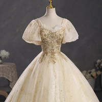 Champagne Tulle Sequins Long A-Line Ball Gown - Thumbnail 1