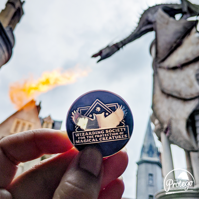 Wizarding society for the protection of magical creatures enamel pin