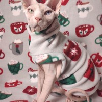 Hot Cocoa & Chill - Thumbnail 2