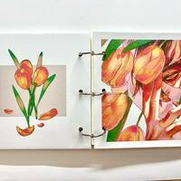 orange - sketchbook - Thumbnail 4