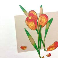 orange - sketchbook - Thumbnail 1