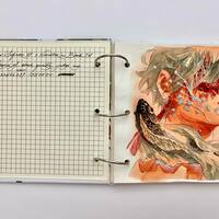 orange - sketchbook - Thumbnail 7