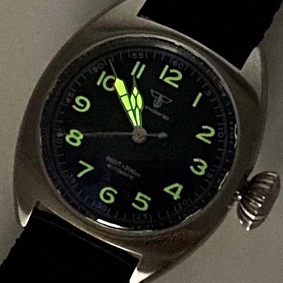 Tandorio mens watches 36mm dial nh35a mechanical movt 20bar luminous causal business wristwatch t110