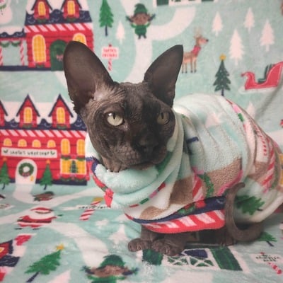 Santa's workshop - bathwear - Thumbnail 2