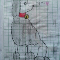   Hand  Painting poodle Handmade drawing - Thumbnail 1