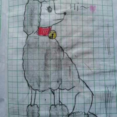   hand  painting poodle handmade drawing