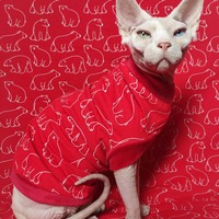 Polar Bears - Thumbnail 1