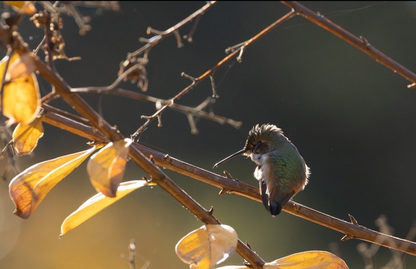 2024 photography Calendar