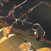 2024 photography Calendar