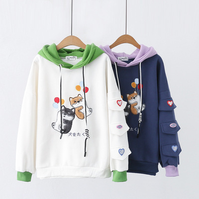 Cute dog embroidered hoodie