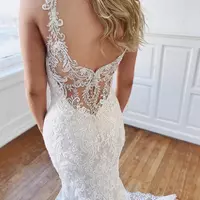 Elegant Mermaid Lace Backless Wedding Dresses Sheer Plunging Neck Beaded Bridal Gowns Court Train - Thumbnail 1