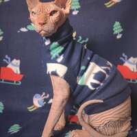 Winter Wonderland  - Thumbnail 1