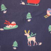 Winter Wonderland  - Thumbnail 2