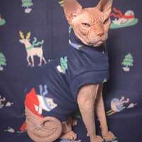 Winter Wonderland  - Thumbnail 3