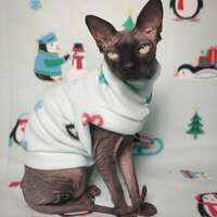 Penguin Holidays - Thumbnail 1