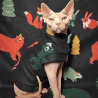 Forest Buddies - Thumbnail 1