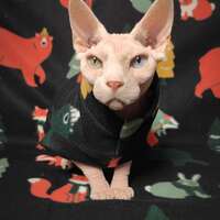 Forest Buddies - Thumbnail 2