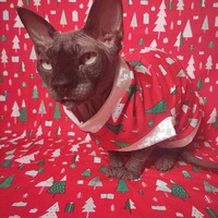 O Christmas Trees - Thumbnail 1