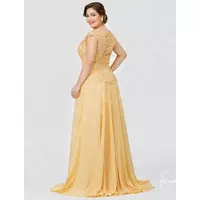 Long Mother Of The Bride Groom Dresses for Wedding Gold Chiffon Plus Size Lace Appliques Cap Short Sleeves  - Thumbnail 1