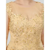 Long Mother Of The Bride Groom Dresses for Wedding Gold Chiffon Plus Size Lace Appliques Cap Short Sleeves  - Thumbnail 2