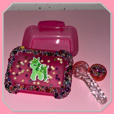 Laid back pony travel box 
