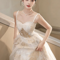 Champagne Spaghetti Strap Tulle Formal Dress, A Line Sweetheart Neck Evening Party Dress KPP1659 - Thumbnail 1