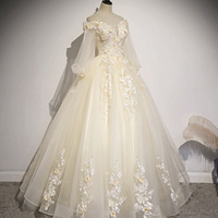 Champagne Tulle Lace Long A-Line Ball Gown - Thumbnail 2