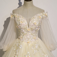 Champagne Tulle Lace Long A-Line Ball Gown - Thumbnail 1