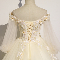 Champagne Tulle Lace Long A-Line Ball Gown - Thumbnail 4