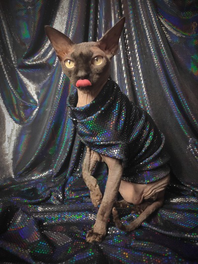 Sparkling Personality (Black Mamba)