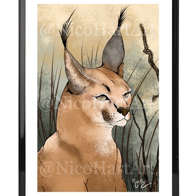 Caracal cat poster
