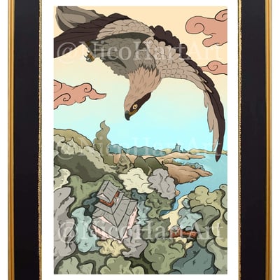 Hawk's eye view poster