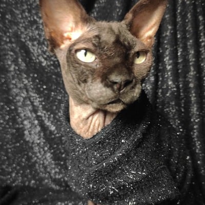 Black tinsel sweaterknit