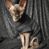 Black Tinsel Sweaterknit - Thumbnail 1