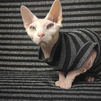 Silver Stripe - Thumbnail 1