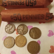 Coin Enthusiast's Bundle: Unsearched Wheat Pennies and BU Lincoln Shield Pennies 