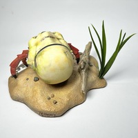 Helmet Crab - Thumbnail 2