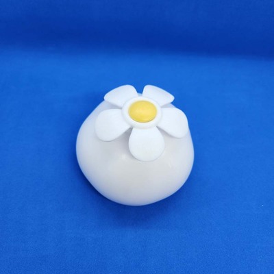 Pik Min Onion (white)