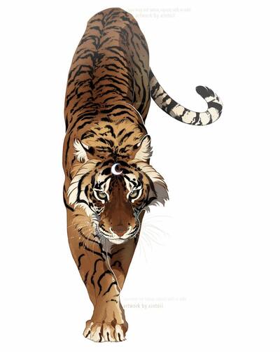 Tiger Stickers (HOLO)